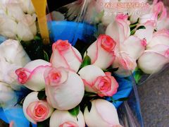 -循礼门鲜花花市(武汉循礼门店)