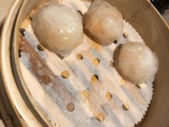 蝦餃-金苑海鲜酒家(来魅力店)