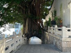 -乌山风景区