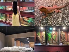 -帕帕拉兹宠物(亚洲旗舰店)