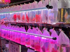 -中环花鸟鱼虫市场