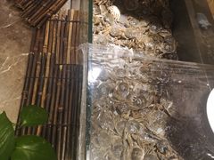 -欢乐牧场海鲜烤肉自助(牡丹园店)