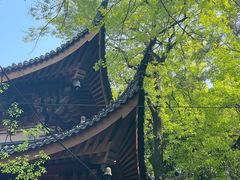 -灵岩山风景区