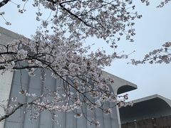 -龙美术馆(西岸馆)