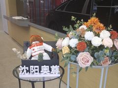 -奥尊奥迪4S店(浑南店)