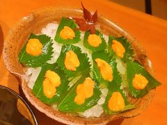 -月龍吟(朝龙汇店)