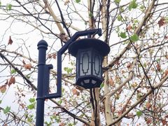 -大渡口区义渡公园