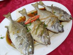 -蛇口康乐快餐鱼仔档(翠苑小区店)