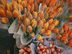 -循礼门鲜花花市(武汉循礼门店)