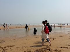 -日照海滨国家森林公园