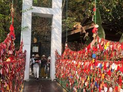 -西双版纳原始森林公园