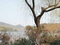 -西湖游船