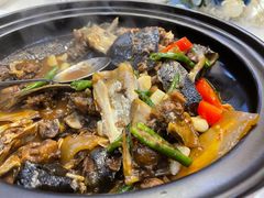 -大梅沙海鲜汇(岳麓店)