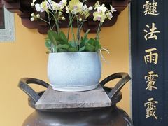 -阿育王寺