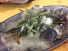 -蚝专家(北滘店)