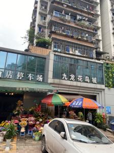 杨家坪杨馨大酒店图片