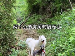 -井空里大峡谷