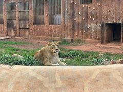 -昆明动物园