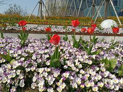 -北外滩滨江绿地