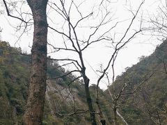 -大鄣山卧龙谷景区