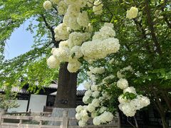 -常熟方塔园