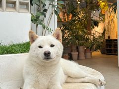-自由生长植物工作室(深港花卉中心店)