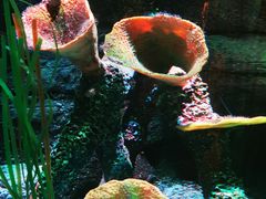 -沈阳海洋探索中心