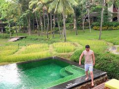 -四季酒店下午茶