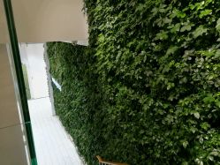 -悦诗风吟innisfree