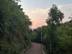 -桃花岭景区