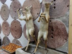 -乔家满族八大碗(流水沟店)