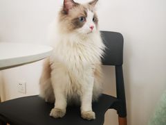 -隹木咖啡馆(宝龙广场店)