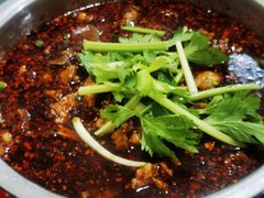-温江公平红烧兔(总店)