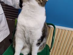 -北京金龙潭御瑞酒店(花园桥地铁站店)