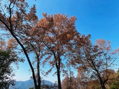 -广州市石门国家森林公园