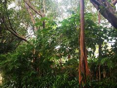 -嘉和K6温泉微度假