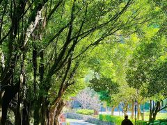 -南沙天后宫景区