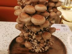 -椰子营·椰子鸡火锅(万象里店)