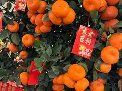 -惠食佳(滨江大公馆店)