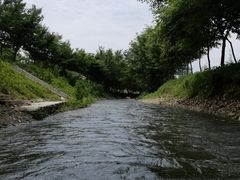 -天目湖松岭竹海漂流