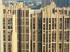 -中澳友谊花园