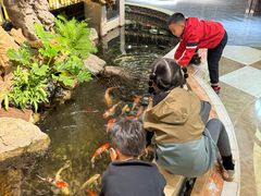 -浣花锦绣(杜甫草堂店)