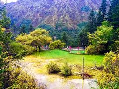 -黄龙山原始森林景区