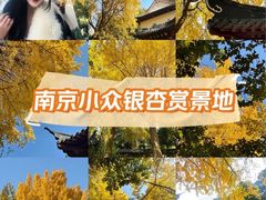 -郑和公园