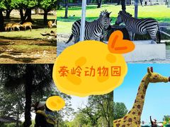 -西安秦岭野生动物园