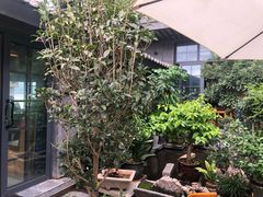 -海韵人家.海景花园经典云南菜(双廊店)