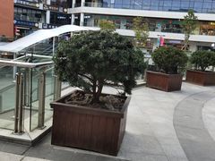 -浦江城市生活广场(江月路店)