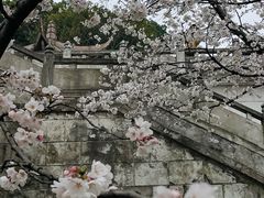 -苏州上方山国家森林公园