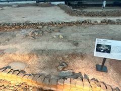 -南越王博物院(王宫展区)