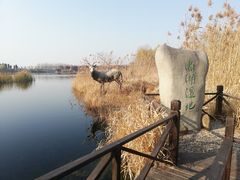 -溱湖国家湿地公园
